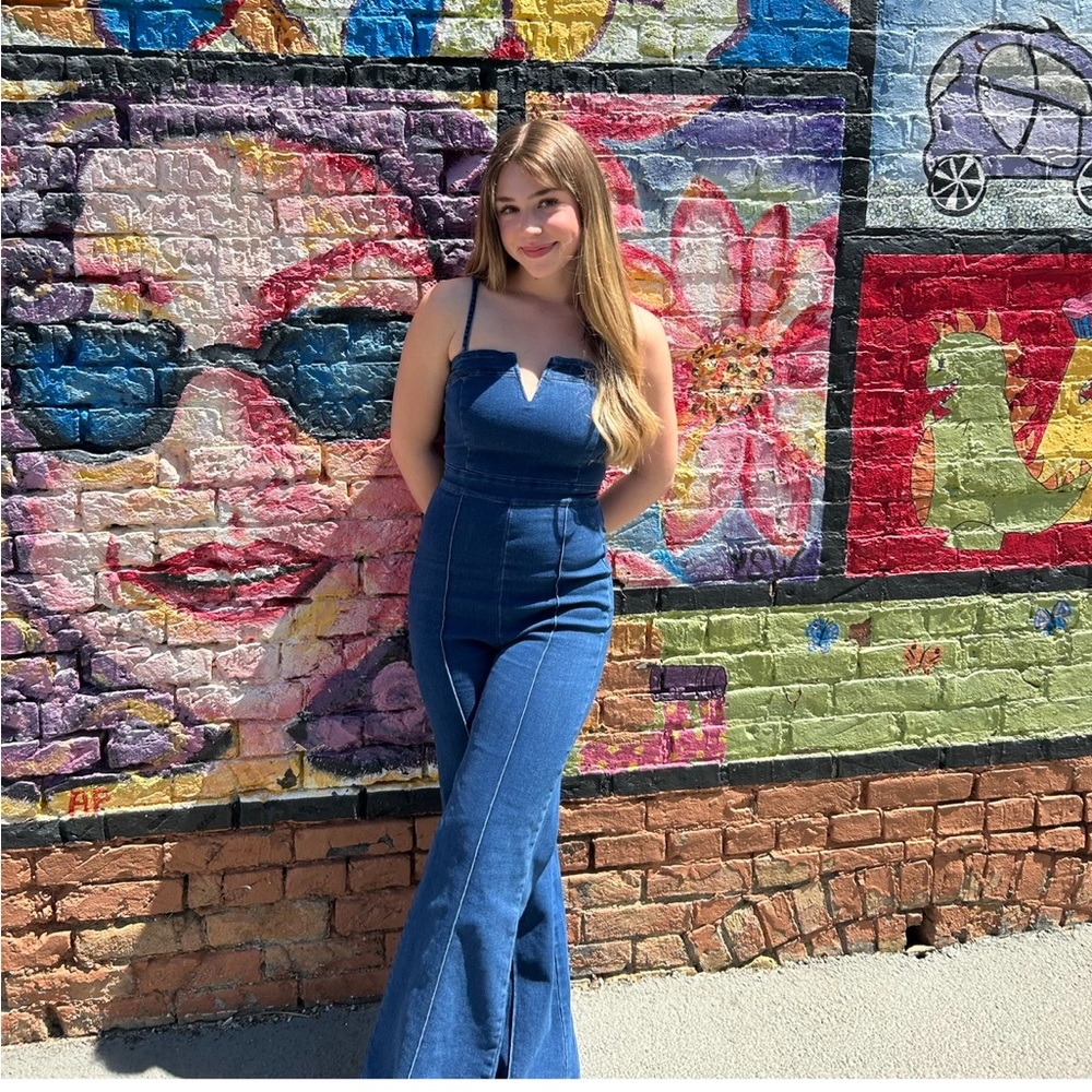 Dry Goods Jean Jumper